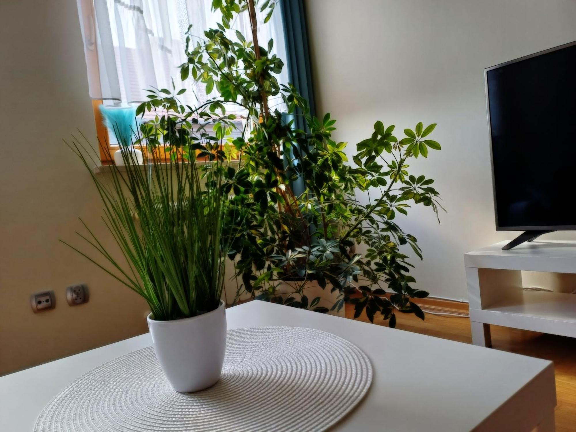 Aneta Apartment
